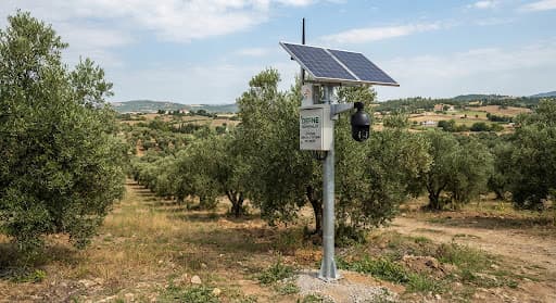 Zeytin bahçesinde güneş paneli ve 4G PTZ güvenlik kamerası